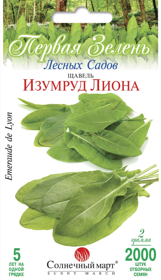 Щавель Изумруд Лиона